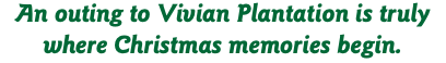An outing to Vivian Plantation is truly where Christmas memories begin.